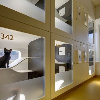 Testimonial Carousel Image 0