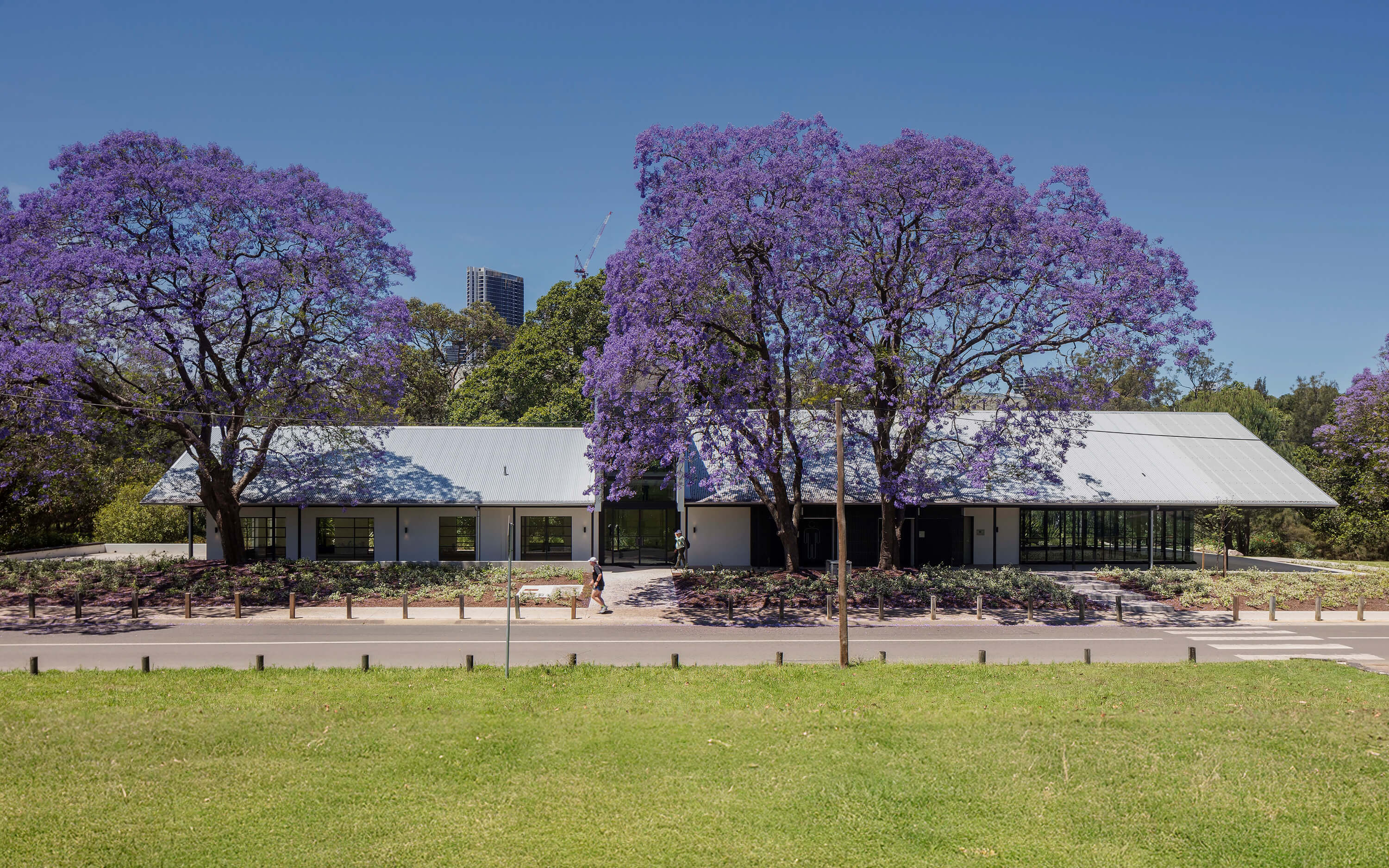 Internal Masthead Image