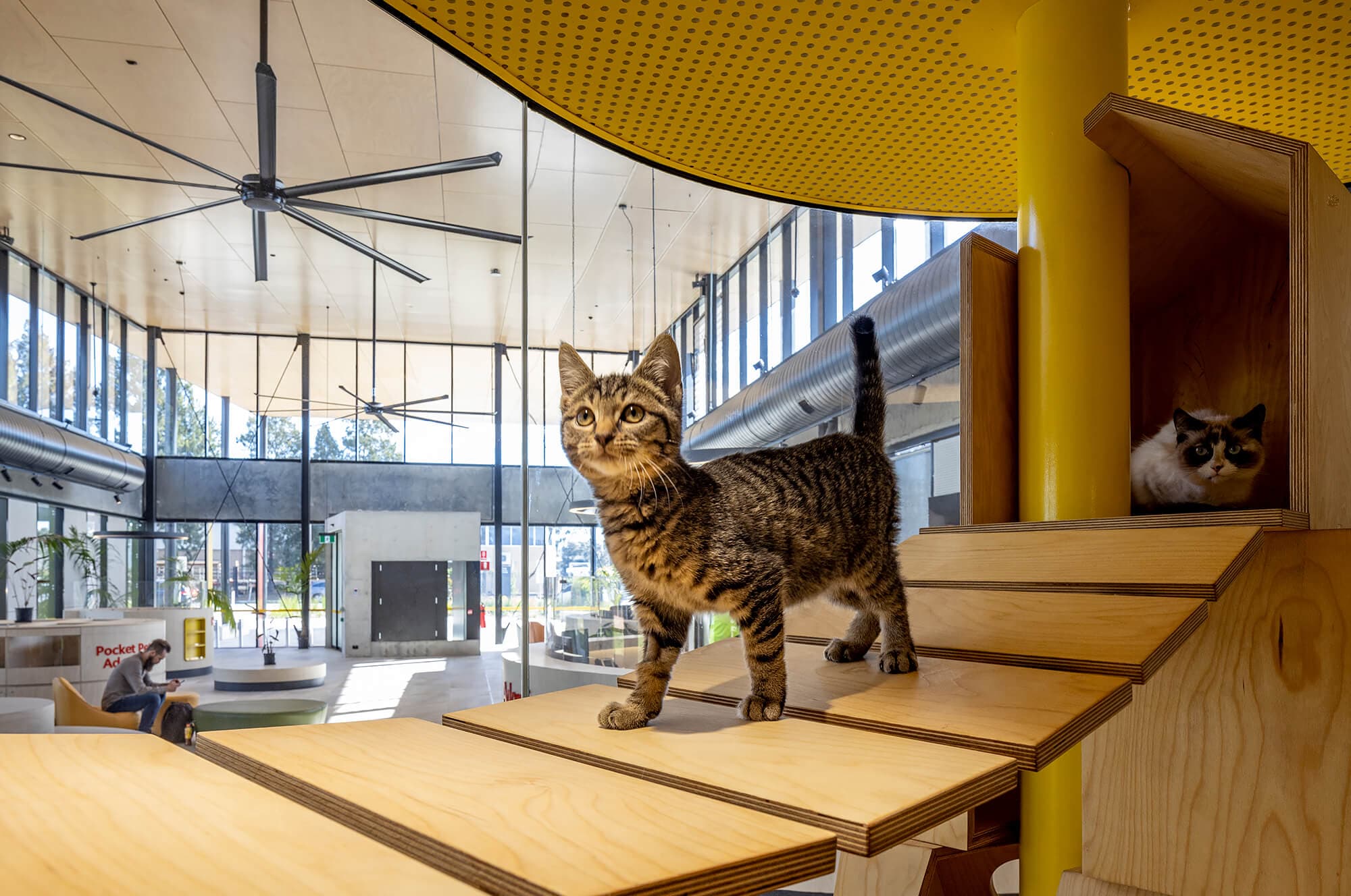 BARC - Sam Crawford Architects