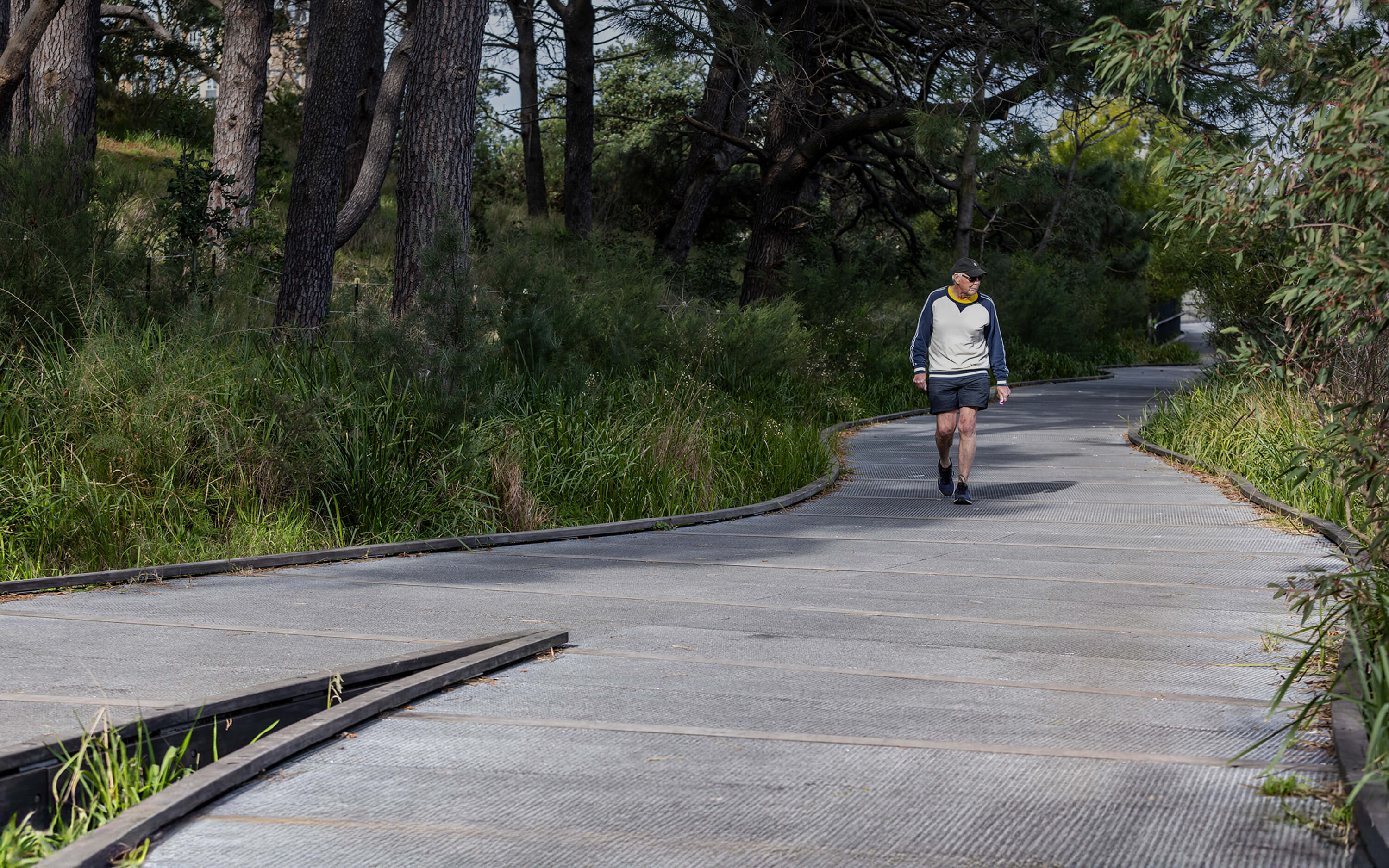 Internal Masthead Image