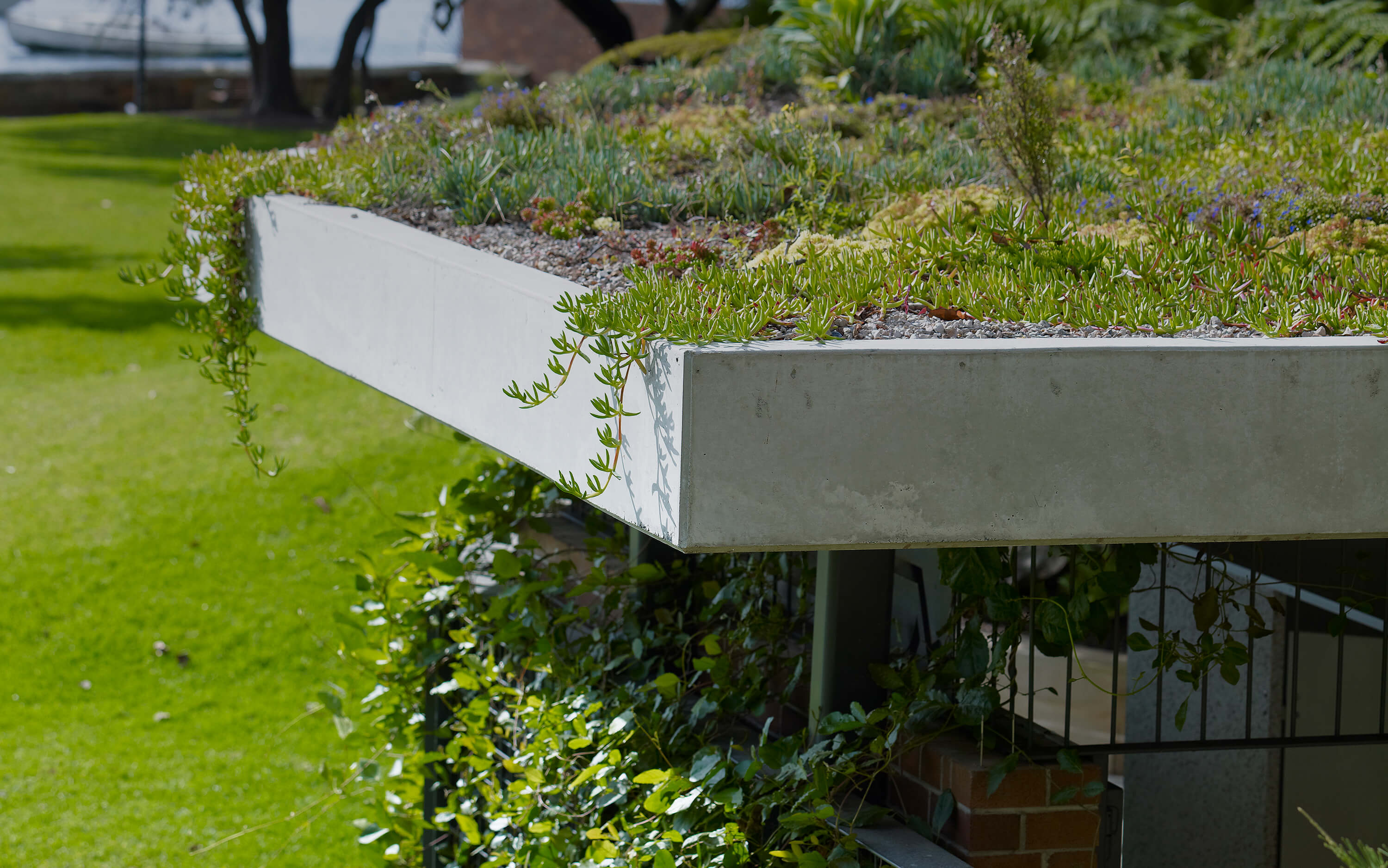 Internal Masthead Image