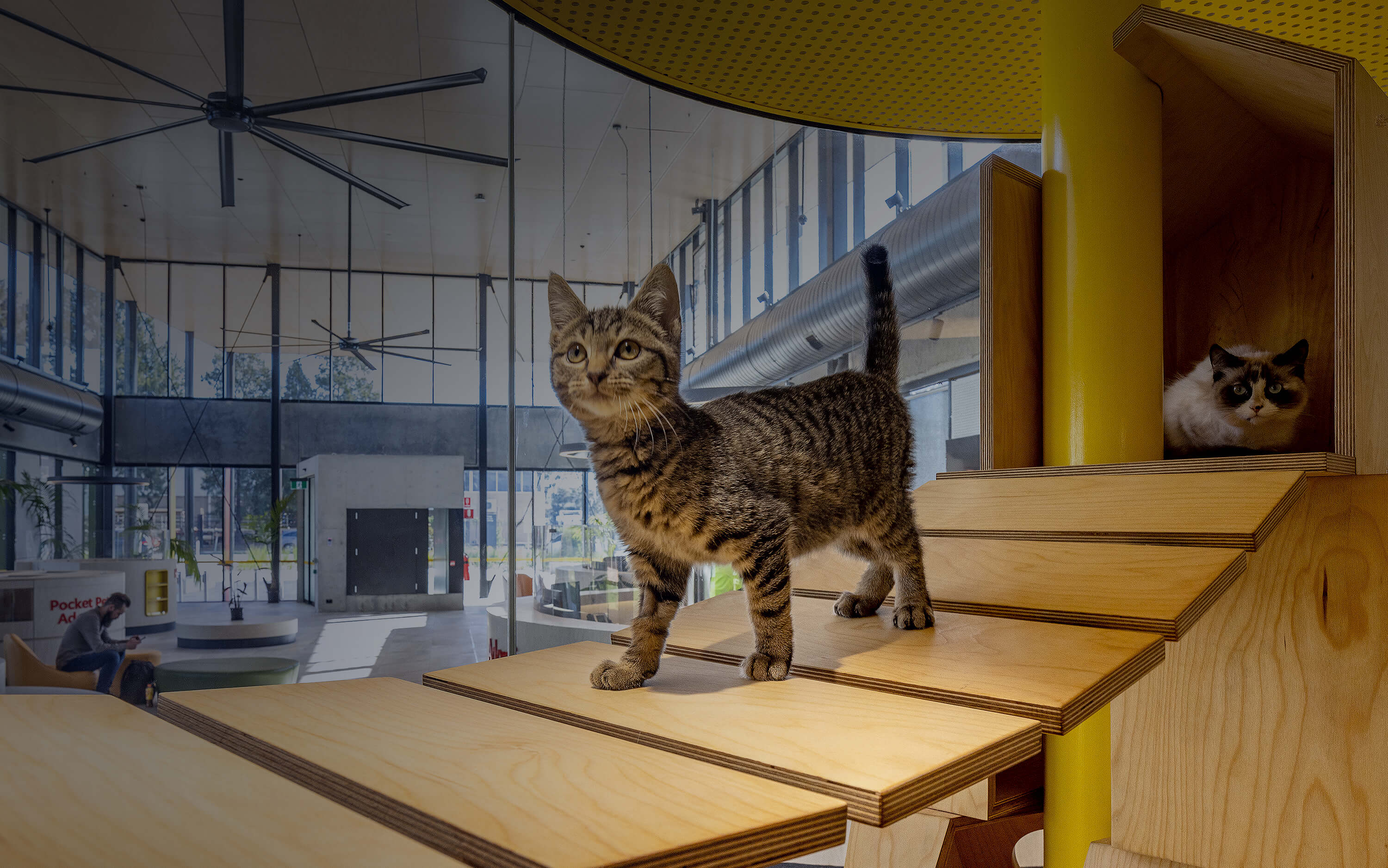 Internal Masthead Image