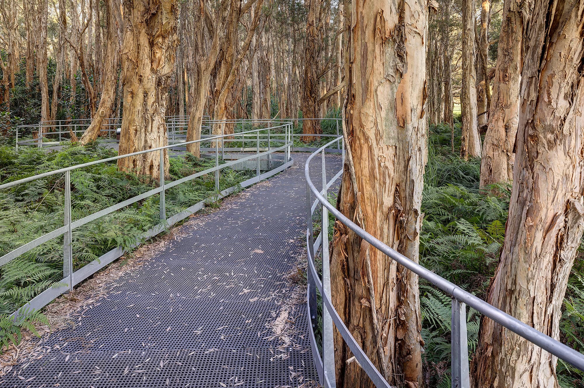 badu ngura Boardwalk