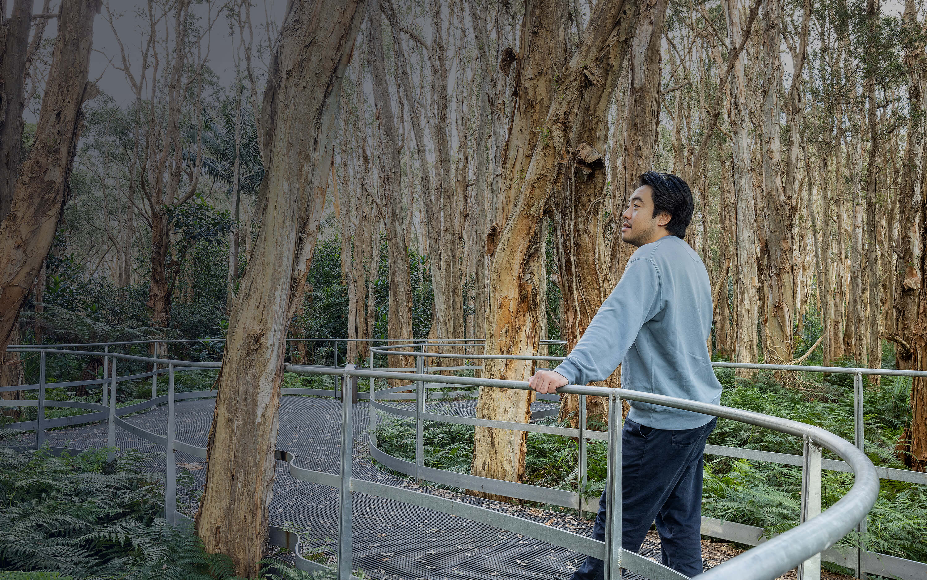 Internal Masthead Image