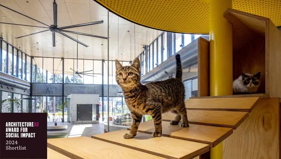 Blacktown Animal Rehoming Centre, Blacktown NSW