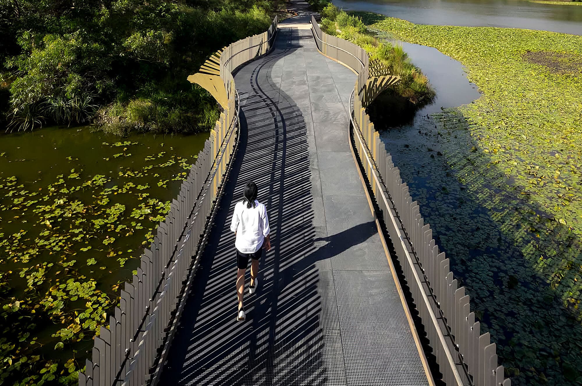 Sam Crawford Architects - Sports & recreation spaces