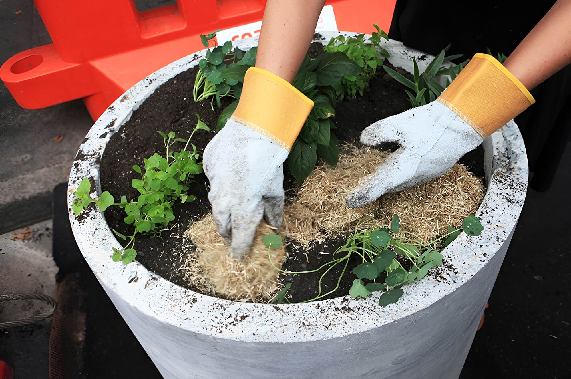 Creating edible outdoor rooms