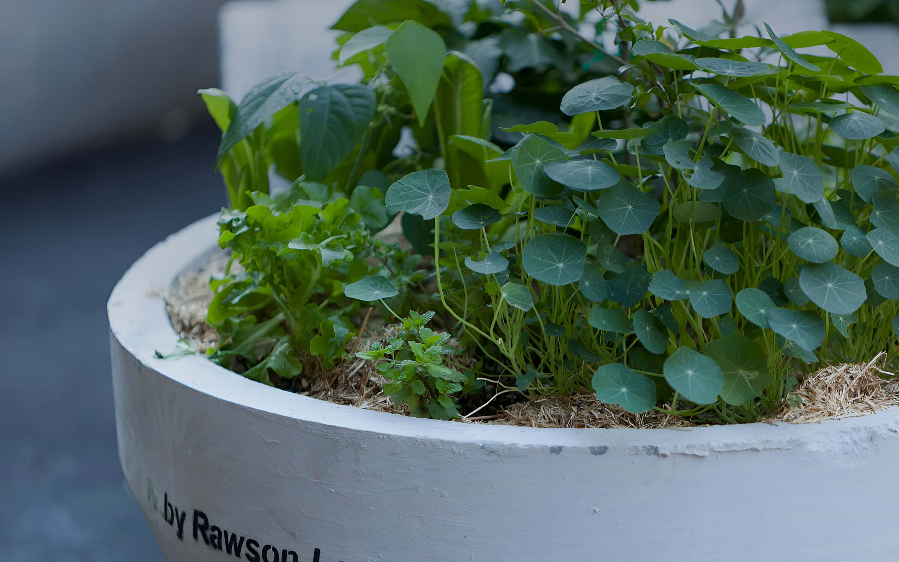 Internal Masthead Image