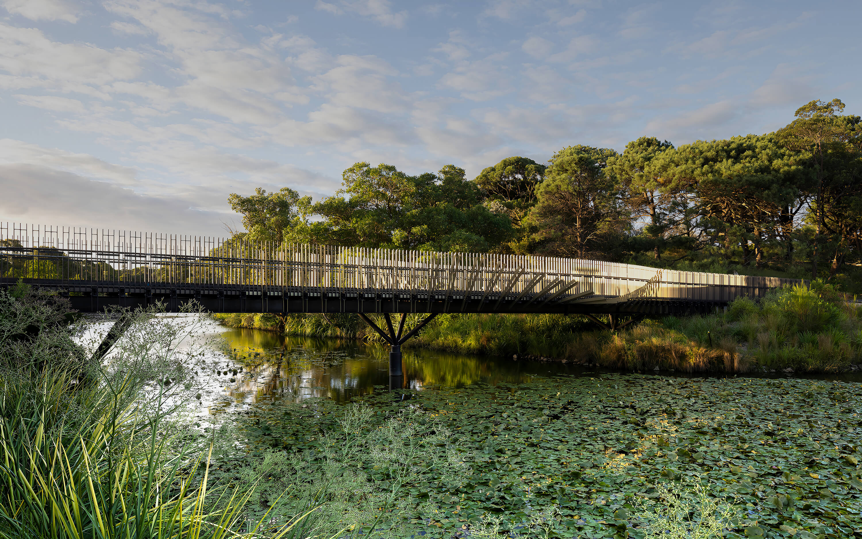 Internal Masthead Image