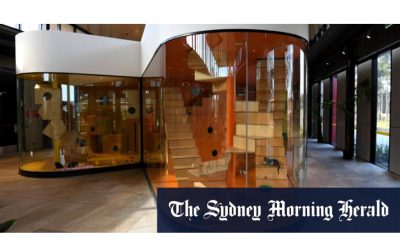 BARC opening is featured in Sydney Morning Herald