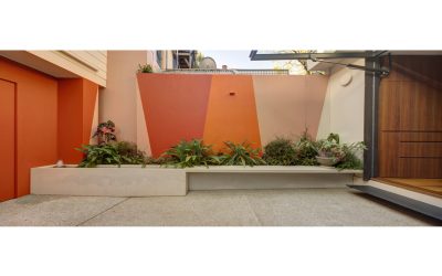 Creative Expression – Darlinghurst Terrace featured in The Local Project